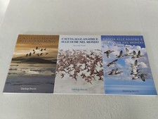 Caccia alle anatre usato  Cervia