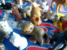Set cani gatti usato  Vistrorio