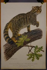 Landhausstil plakat poster gebraucht kaufen  Berghülen