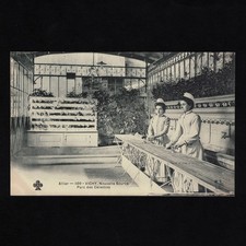 Old postcard allier d'occasion  Expédié en Belgium