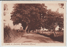 Antica cartolina pienza usato  Foligno