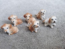 cocker spaniel for sale cocker spaniel for sale ROTHERHAM