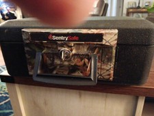 Sentrysafe fireproof safe for sale  Franklin