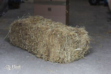 Hay bale horses for sale  FLEETWOOD