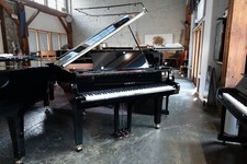 Yamaha c1x baby for sale  Seattle