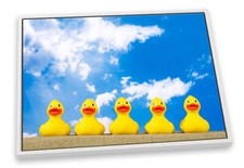 Rubber ducks beach for sale  UK