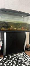 Monstershop aquarium fish for sale  DONCASTER