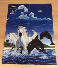 Pferde poster lissy gebraucht kaufen  Husum