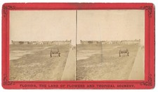 Antique florida stereoview for sale  Denver