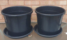 Set large plant for sale  WOLVERHAMPTON