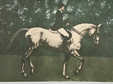 Bertha Vincent Walls 1917–2010 adestramento serigrafia cavalo assinado à mão artista dos EUA comprar usado  Enviando para Brazil