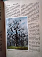 Zigarettenbilder alben naturbi gebraucht kaufen  Badbergen