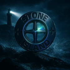 Riginal stone island gebraucht kaufen  Verden
