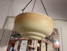 Fly catcher ceiling for sale  EXETER