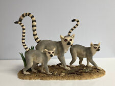 Lemurs summer stroll for sale  PAIGNTON