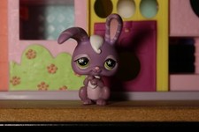 Petshop lapin garenne d'occasion  Bully-les-Mines