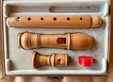 Moeck rottenburgh sopran gebraucht kaufen Moeck rottenburgh sopran gebraucht kaufen  Mannheim