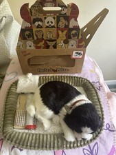 collie border puppy for sale collie border puppy for sale Longmeadow