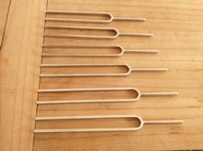 Venus 221 stimmgabel gebraucht kaufen  Finning