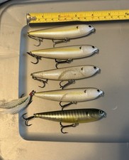 Lucky craft sammy for sale  Roanoke Rapids