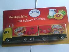 Modell truck man gebraucht kaufen  Goch