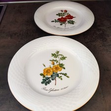 Hutschenreuther scala blumende gebraucht kaufen Hutschenreuther scala blumende gebraucht kaufen  Erlenbach a.Main