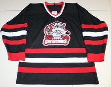 Chl ohl hockey for sale  Niagara Falls