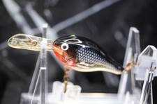 Ireland rapala risto for sale  Winter Garden