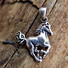 pferd silber gebraucht kaufen pferd silber gebraucht kaufen Dinslaken