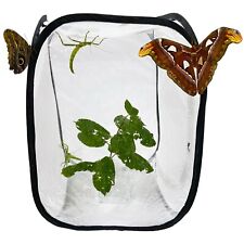 Pop net insect for sale  WASHINGTON