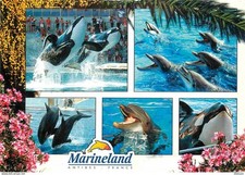 Animals marineland antibes d'occasion  Expédié en Belgium