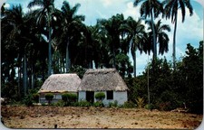 Cartão postal Cuba campo Bohios palmeiras cena rural cromado comprar usado  Enviando para Brazil