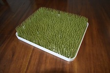Boon lawn grass for sale  Tracy