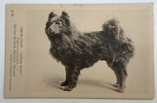 CHOW CHOW Champion Ching Foo de colección Reino Unido perro pc Museo Británico, usado segunda mano  Embacar hacia Argentina