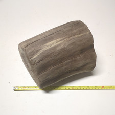 Driftwood round piece for sale  TAUNTON
