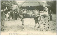 Hippisme. 35954.jour espoir.ba d'occasion  France