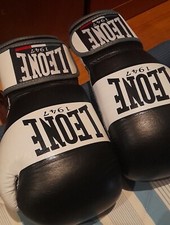 Guantoni pugilato kick usato  Milano