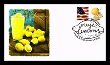 meyer lemons for sale meyer lemons for sale Indianapolis