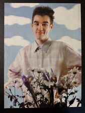 Morrissey smiths mini for sale  STRATHAVEN