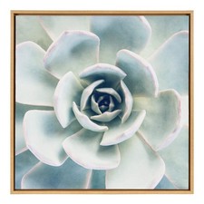 Sylvie botanical succulent for sale  Claymont