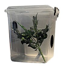 Two arboreal cages for sale  LOWESTOFT
