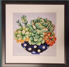 Succulents polka dot for sale  Nescopeck
