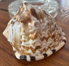 Red cameo helmet for sale  Palm Bay