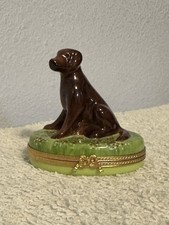 Limoges chocolate lab for sale  Devine