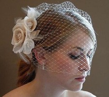 Veil women birdcage for sale  PLYMOUTH