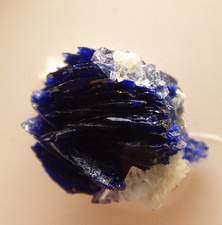 Azurite crystals rosette for sale  BLACKPOOL