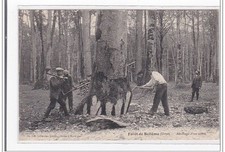 Foret belleme abattage d'occasion  France