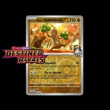 Używany, Karty Pokemon! Destined Rivals Holo/Reverse Holo EX Ultra rzadka karta SIR Full Art na sprzedaż  Wysyłka do Poland