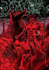 COIOTE VOLUME 5 (V. 5) Por Steve Englehart **Estado perfeito** comprar usado  Enviando para Brazil