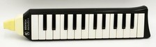 Hohner melodica piano gebraucht kaufen  Emmendingen